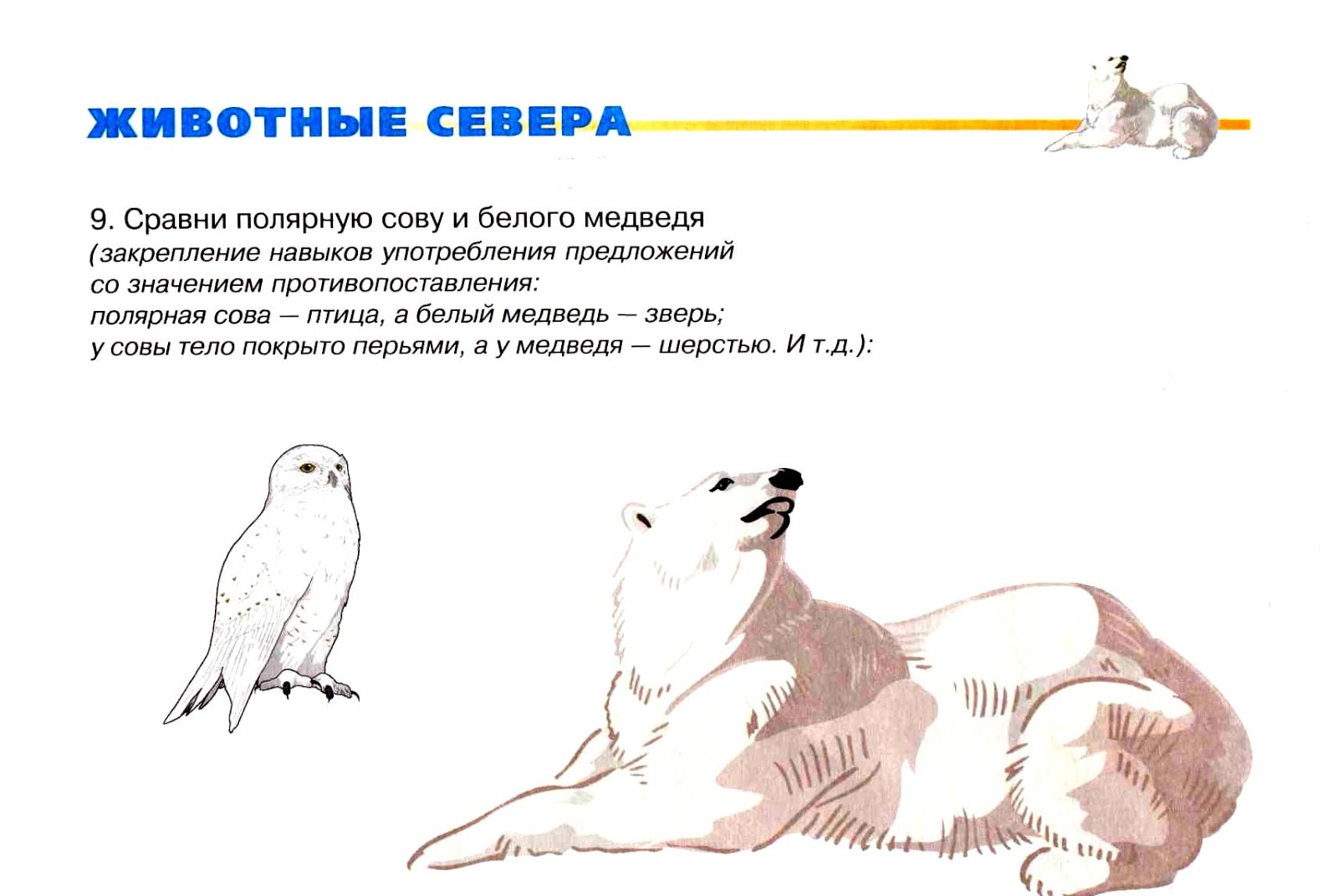 Задания по теме животные севера для дошкольников