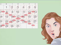 Menghitung Era Subur Perempuan Biar Cepat Hamil Menghitung Era Subur Perempuan Biar Cepat Hamil