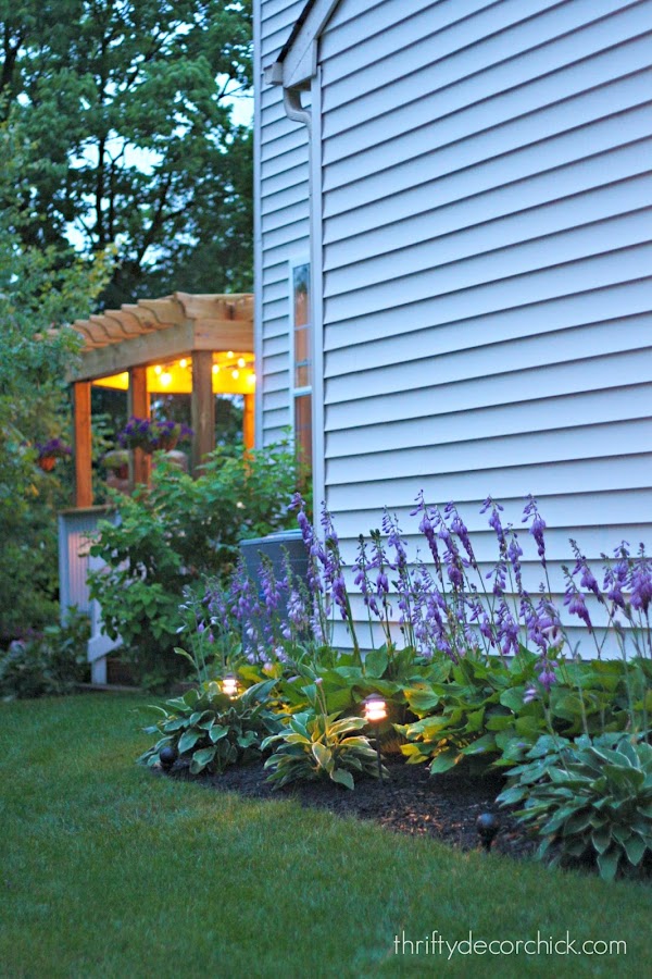 My Free Hosta Garden (and How to Get One!) from Thrifty Decor Chick