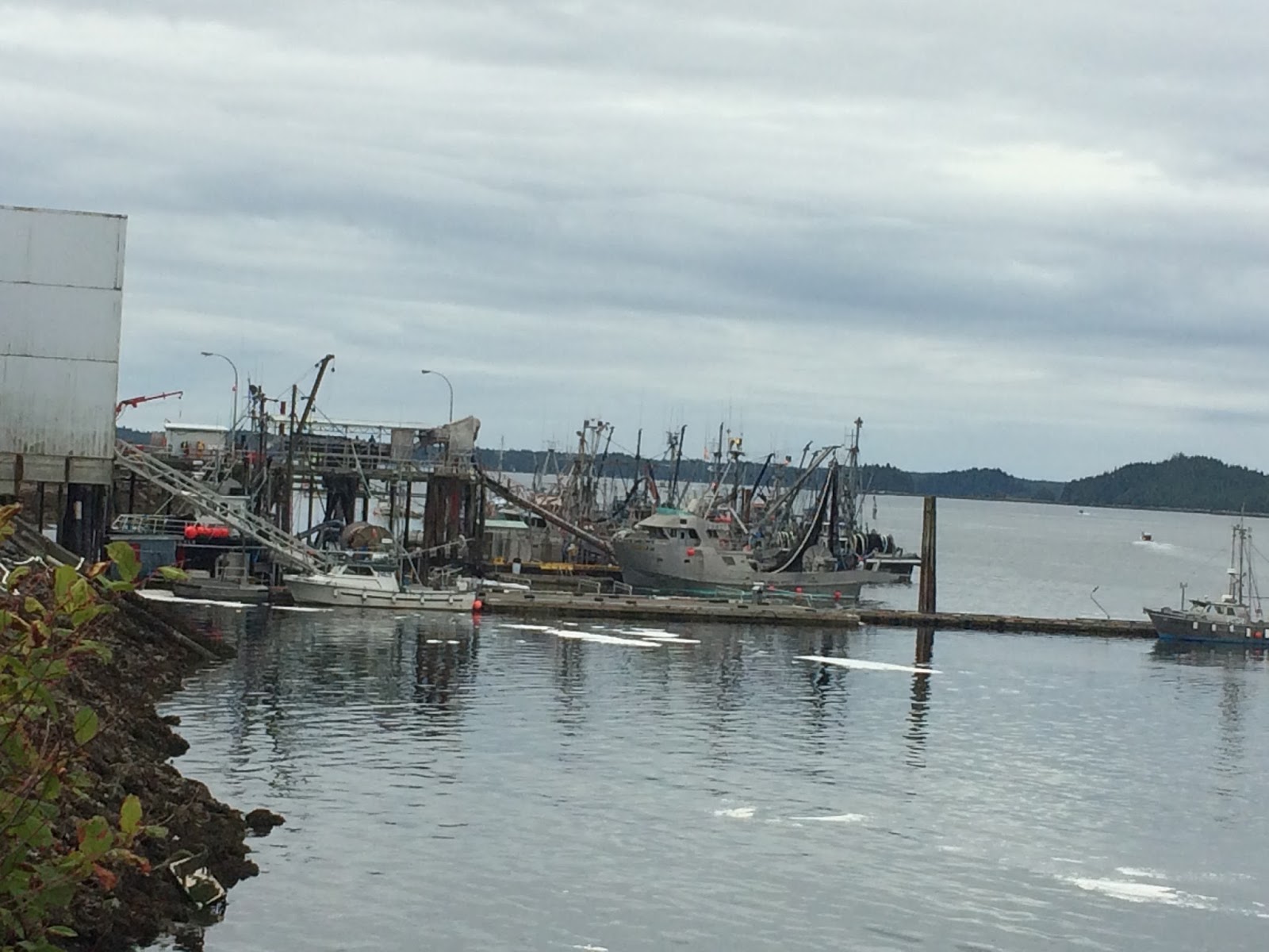 North Coast Review Despite good returns coming ashore, Prince Rupert's