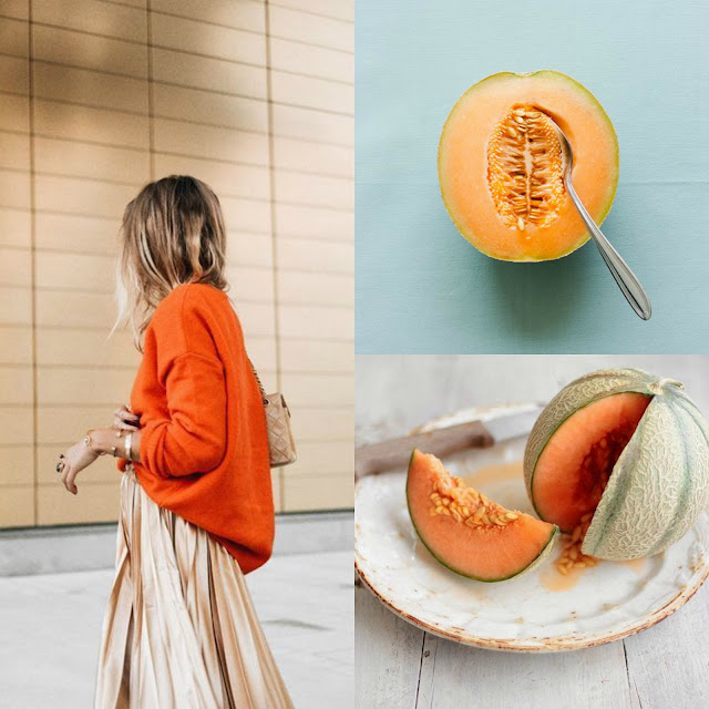 Il Melone: perché fa bene e quali sono le sue proprietà e i suoi benefici