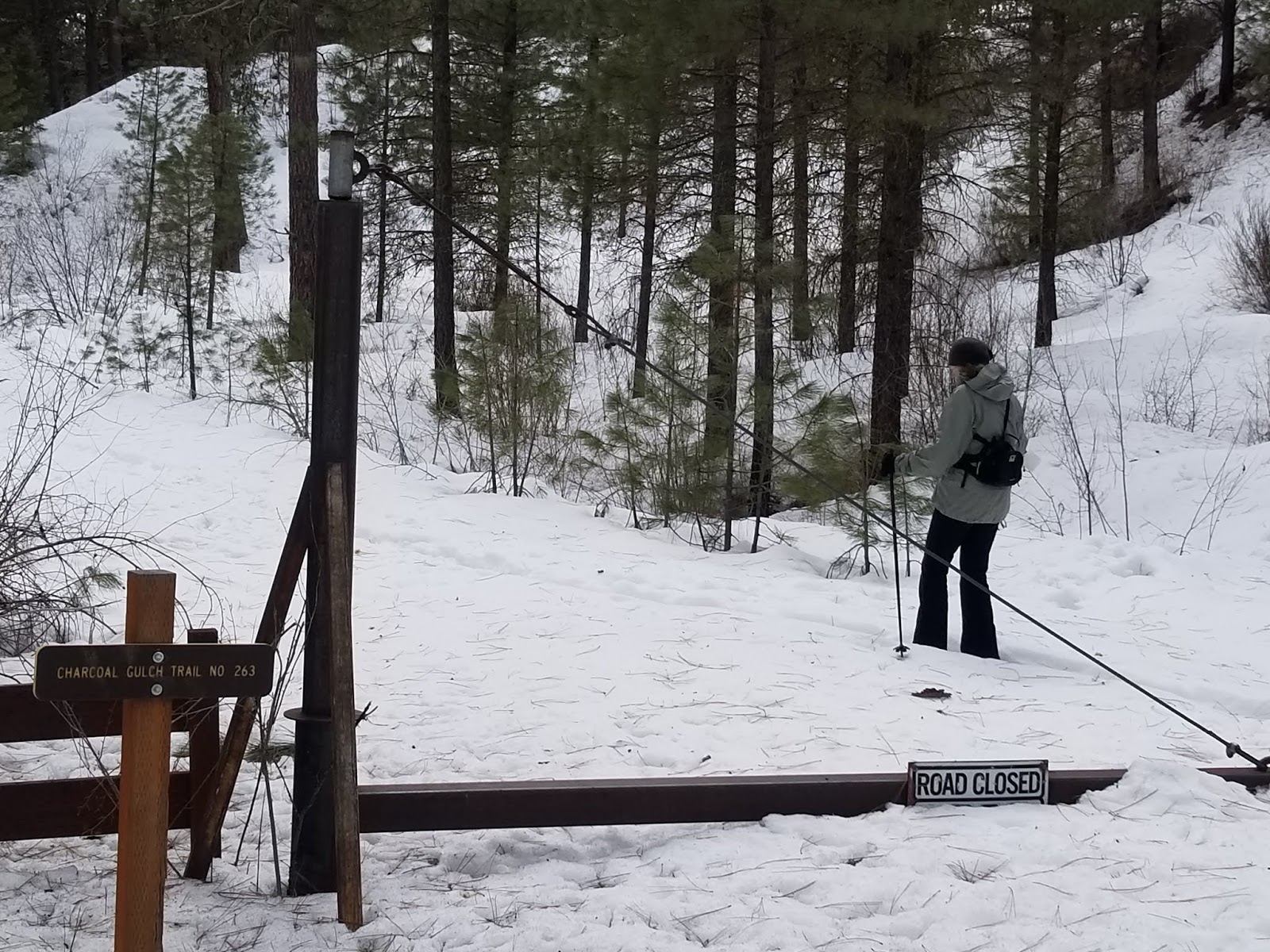 Stueby's Outdoor Journal Gotta plan ahead to visit The Springs in