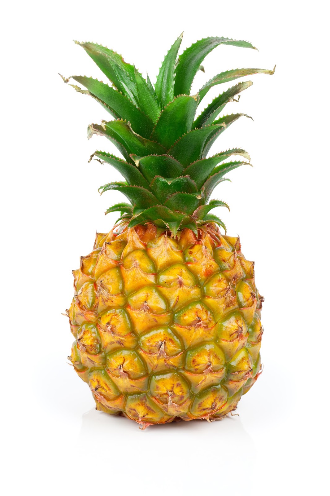 download pineapple painkiller