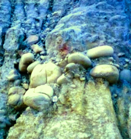 Bottom weathered rock is separated from transported soil by conglomerate