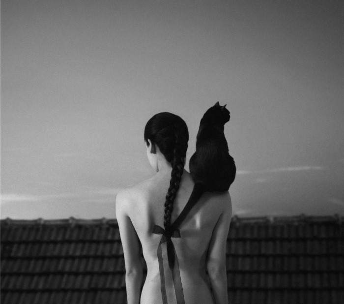 Noell S. Oszvald