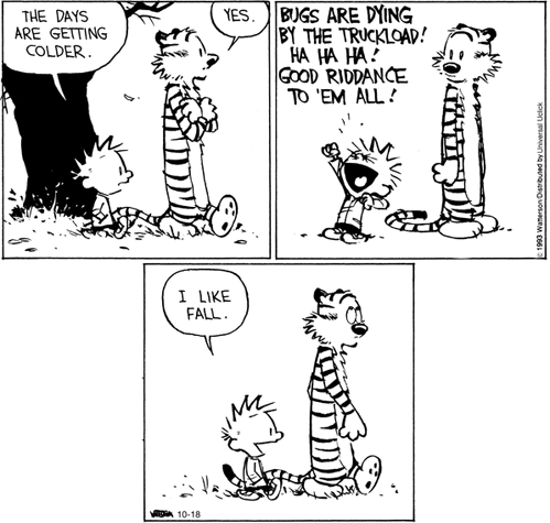 Calvin's Canadian Cave of Coolness: The Practical Wisdom Of Calvin