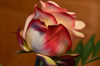 Rose, Roza, hoa hồng, Roses, faqekuq, ruže, バラ, Rose, Roza, hoa hồng, Roses, faqekuq, ruže, バラ, roser, roses, roosid, ruusut, Rožės, rōhi, рози, rozen, róże, rosas, Розы, Ro, Rosas, růže, Güller, троянди, rózsák, τριαντάφυλλα, Руже,