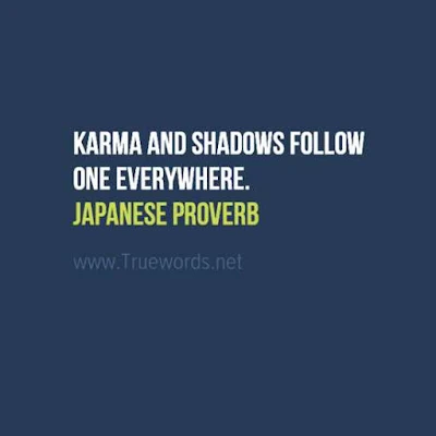 Karma and shadows follow one everywhere