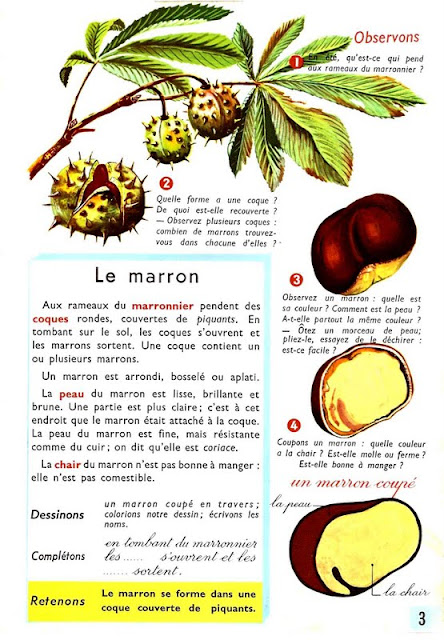 Comment On Dit Poire En Anglais Congélateur Armoire No Frost Pas Cher