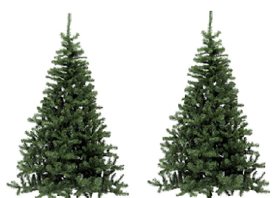 Put up the Christmas Tree for christmas season Put up the Christmas Tree for christmas season