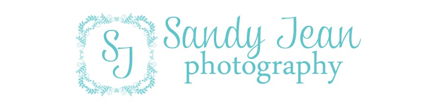 Sandy Jean Photography