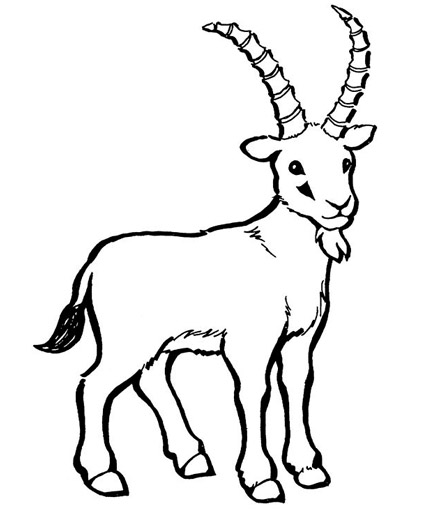 g for goat coloring pages - photo #46