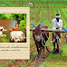 Vedic traditional Agriculture