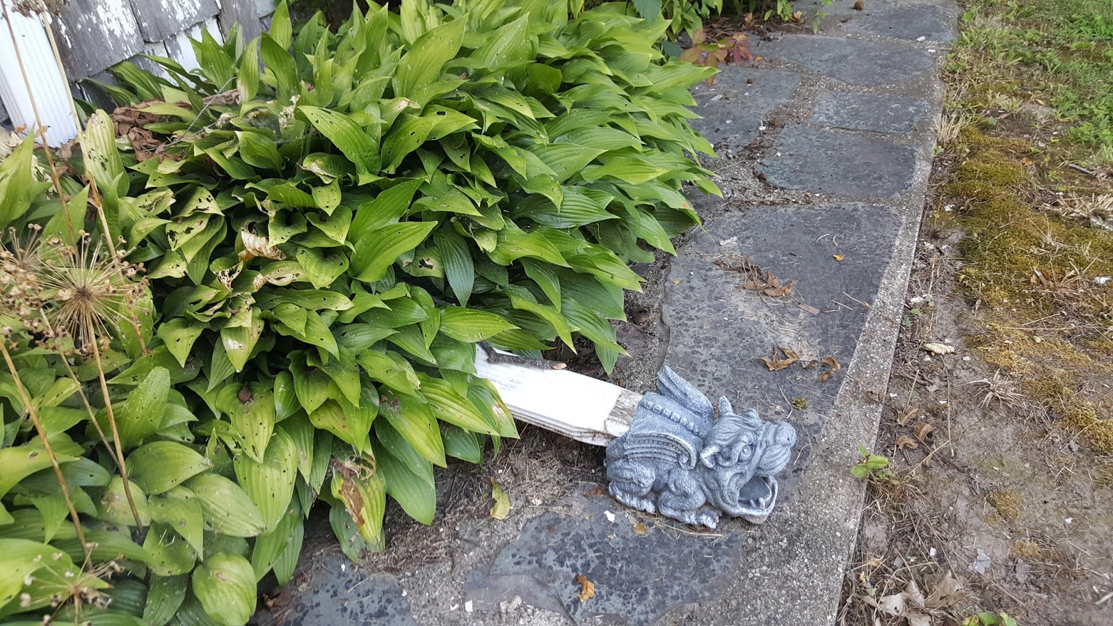 Gear Acres at Top of the Hill Gargoyles and Our Downspouts