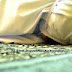 Sujud Syukur