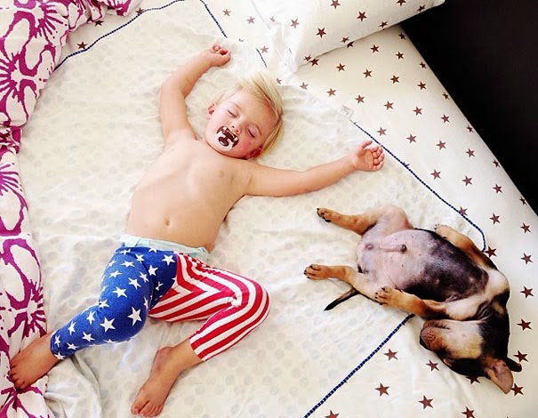 dog and toddler napping together 7