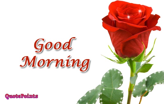 good morning images with rose flowers good morning images with rose flowers