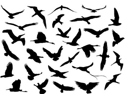 飛ぶ 鳥 羽ばたく 鳥 イラスト の最高のコレクション かわいいディズニー画像
