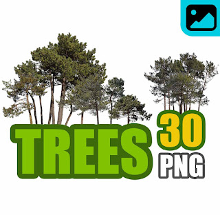 تحميل أشجار png تحميل أشجار png