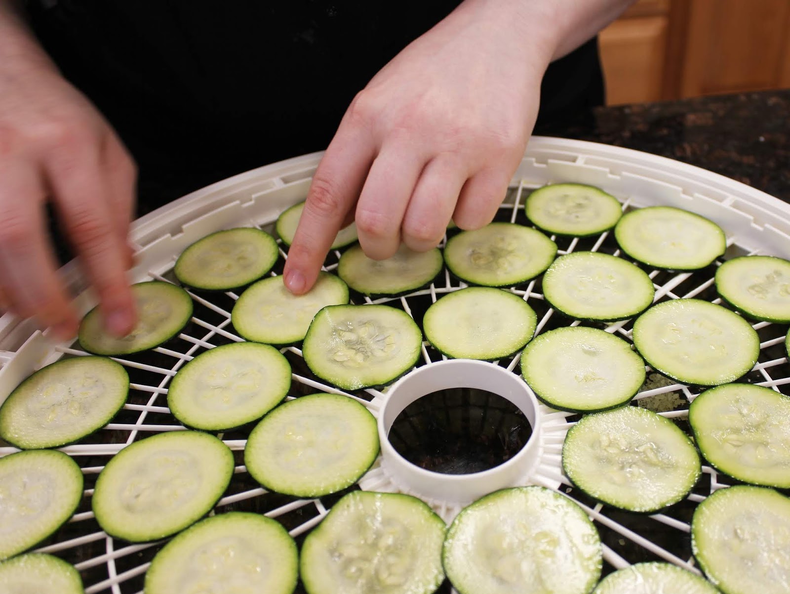 Nesco Blog Recipe of the Week Salt and Vinegar Zucchini Chips