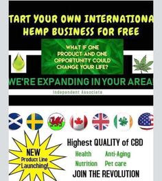 START Your Own International CTFO HEMP (NON THC) FREE 100% LEGAL CBD BUSINESS Forbes Projects,"NEXT