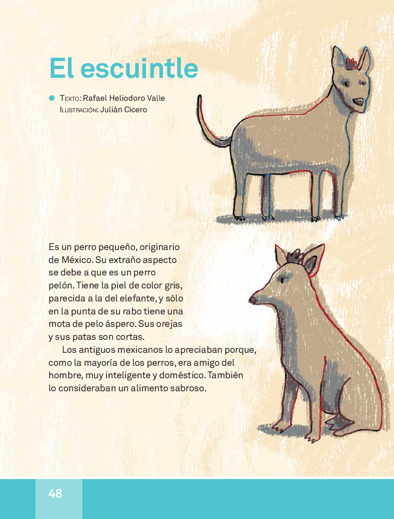  El escuintle - Español Lecturas 3ro 2014-2015