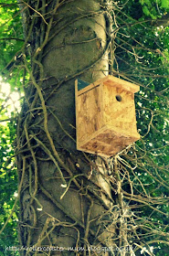bird nestbox #homesfornature made at B and Q