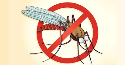 https://nutrihealthline.com/home-remedies/home-remedies-for-malaria/