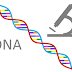 ডিএনএ কী ( What is DNA ? )?