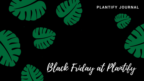 Plantify Black Friday 2022 anuncios, ofertas y ofertas especiales #BlackFriday