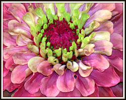 step flower loose painting watercolour watercolor flowers paintings painted farnworth artist judith lot