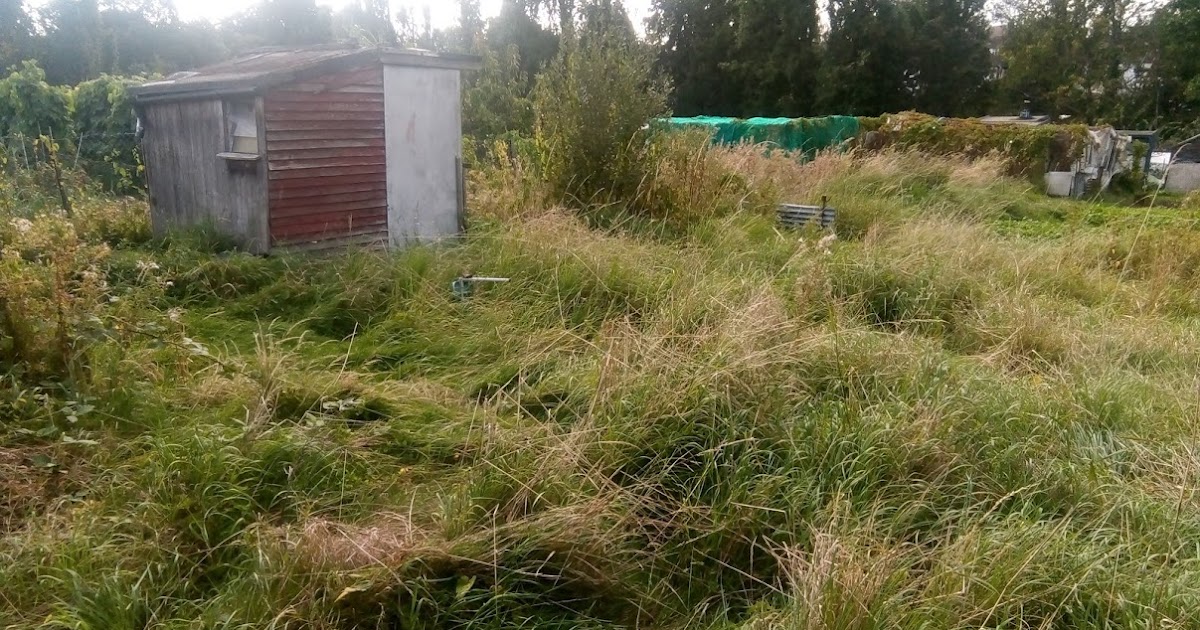 WEMBLEY MATTERS Brent Council should reinstate the role of Allotments