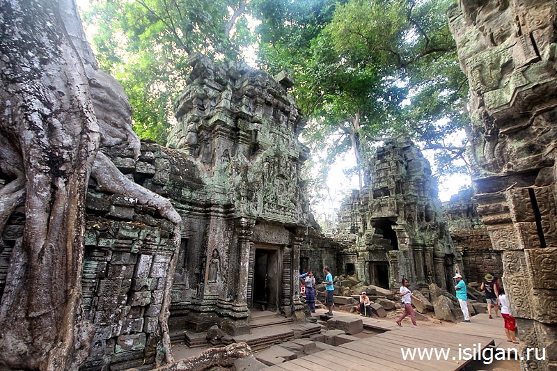Храм Ta Prohm (Та Пром) или храм Анджелины Джоли. Камбоджа