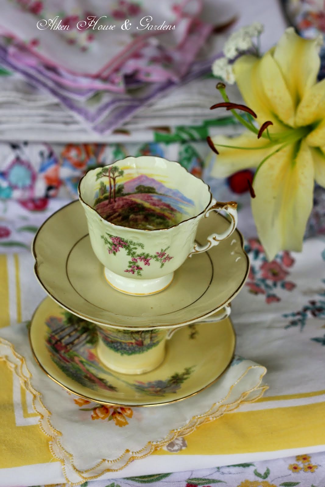 Aiken House & Gardens: Vintage Tea
