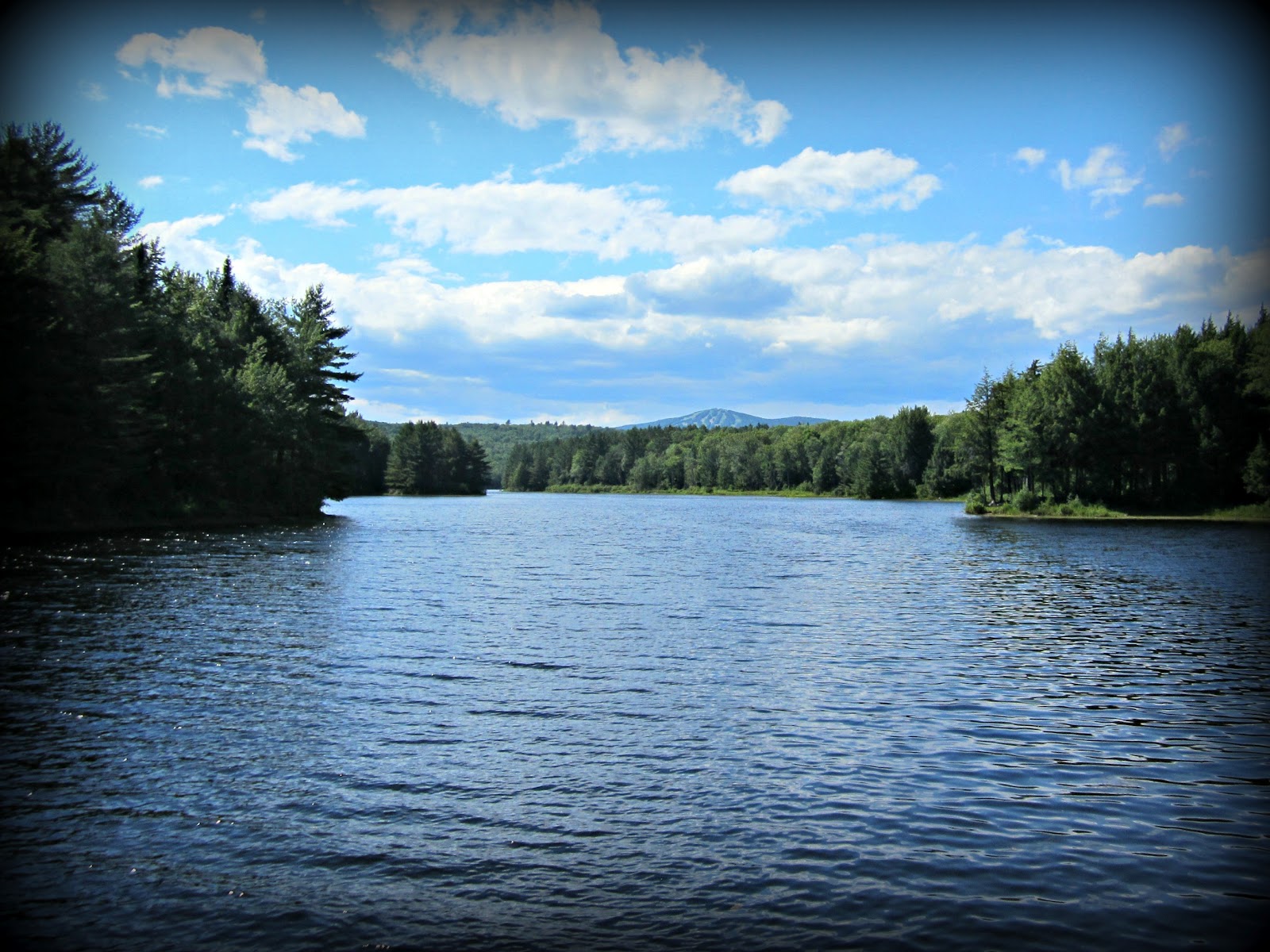 I was a afraid Greg might find this activity a little slow.