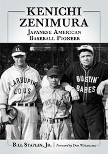 Zenimura Book Available for Pre-Sale (by Bill Staples)