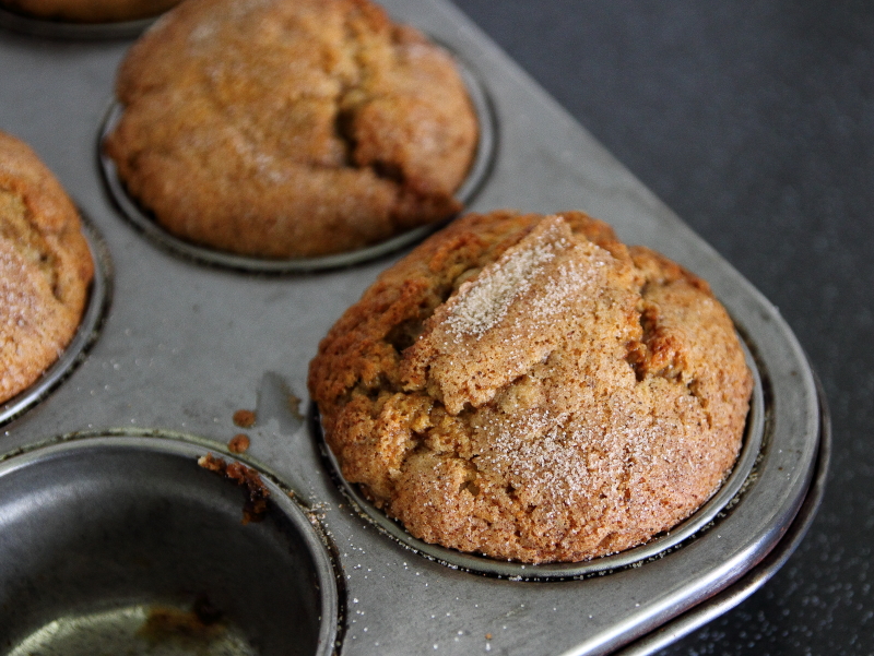 Sour CreamnCinnamon Muffins