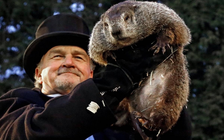 Día de la marmota: ¿Por qué se celebra el 2 de febrero? Día de la marmota