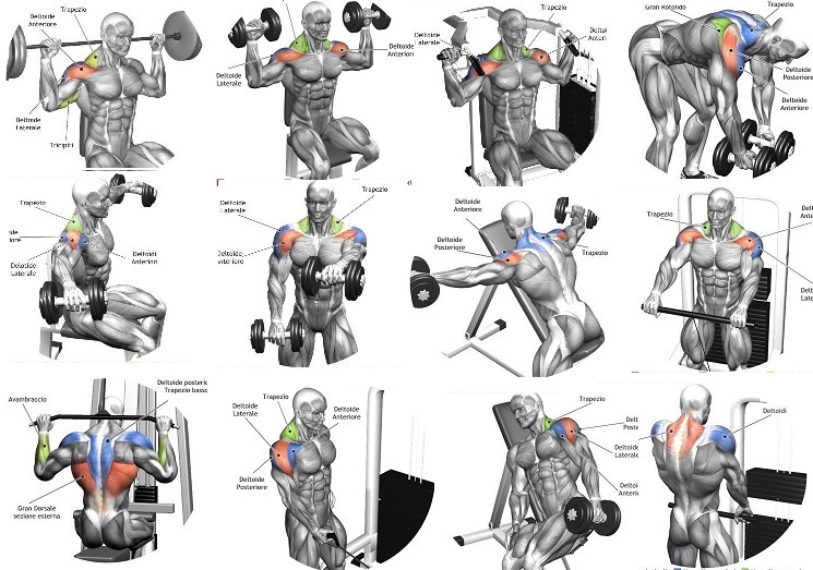 Blog Para Doidos Shoulder Workout Routines 5 Tips For A Safe And Blog Para Doidos Shoulder Workout Routines 5 Tips For A Safe And