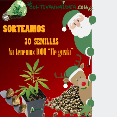 concurso concurso