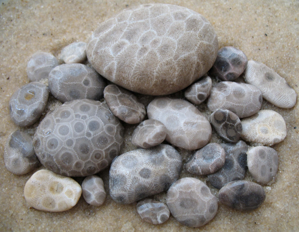 Charlevoix Chamber Times Petoskey Stone Lore
