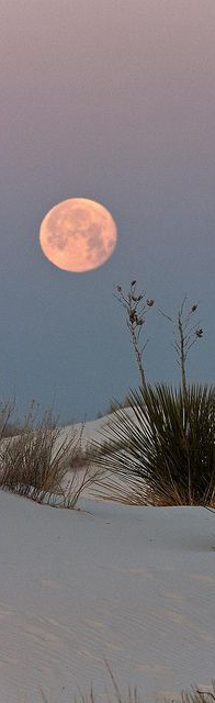 White Sands National Monument in Alamogordo, New Mexico and 50+ Secret Places in America That Most Tourists Don't Know About White Sands National Monument in Alamogordo, New Mexico and 50+ Secret Places in America That Most Tourists Don't Know About
