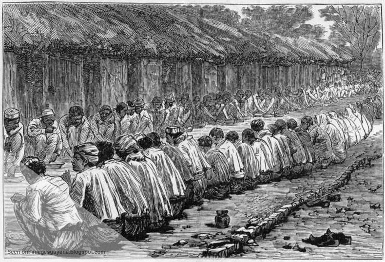 ImagesGuyana The East Indians in British Guiana