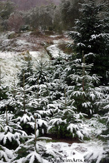 Snow in Castelvecchio Italy Snow in Castelvecchio Italy