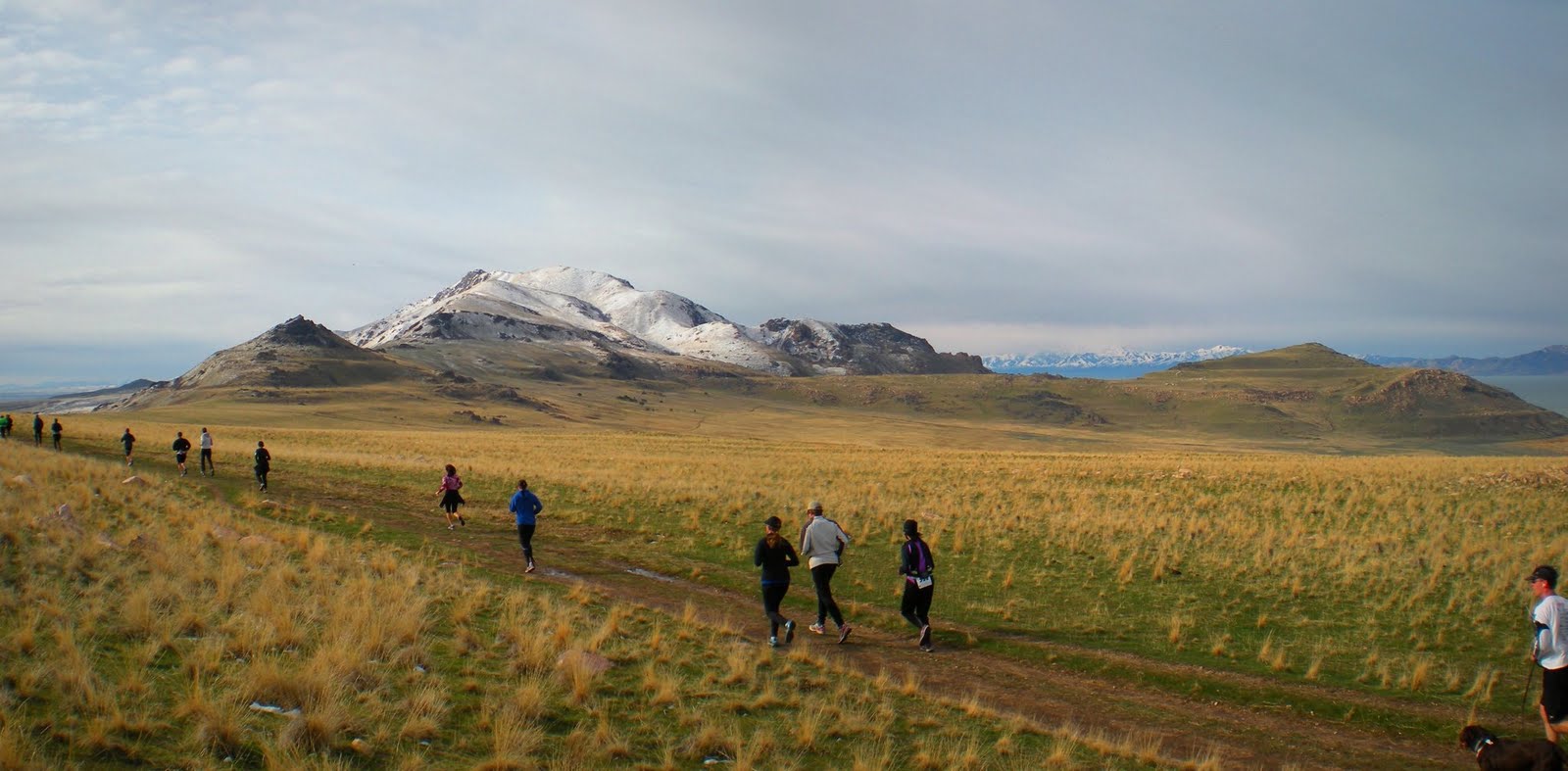 Ultrarunning ER Doc Antelope Island Buffalo Run, the Inaugural 100