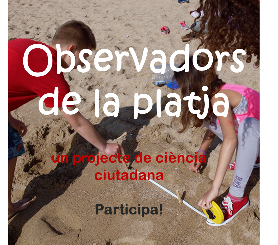 Observadors de la platja