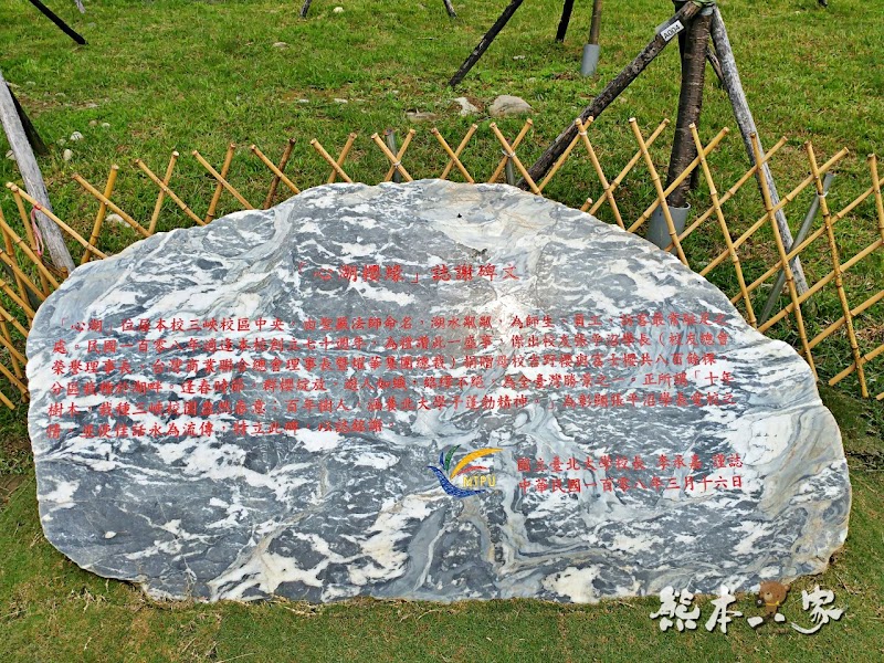 心湖櫻緣|三峽台北大學「心湖櫻花步道」-杜鵑、吉野櫻、木棉花齊綻放