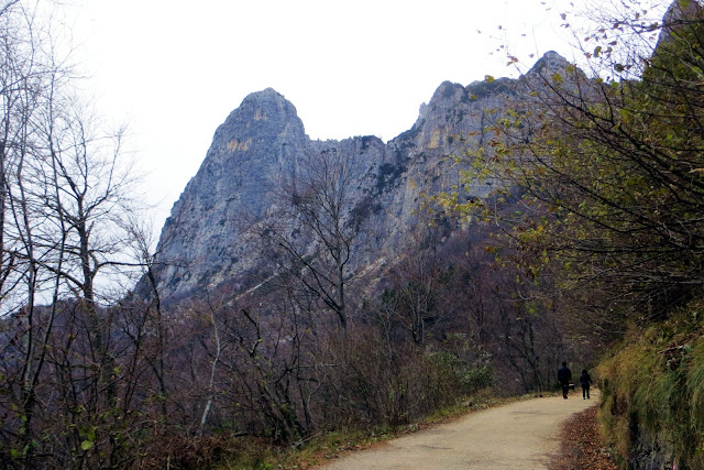 ponte tibetano pasubio