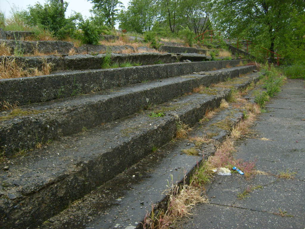 S6304200.JPG