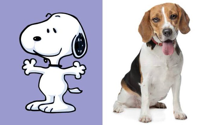 Download Bagatela 03 14 19 For iPhone Free Get Wallpaper Bagatela 03 14 19 Desktop Wallpaper Free